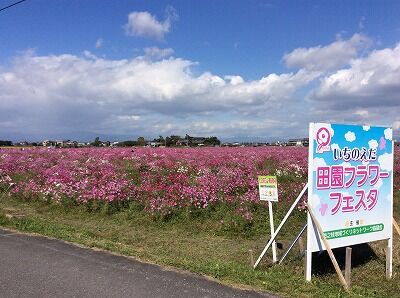 田園フラワーフェスタ
