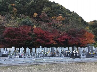 真正寺霊苑　紅葉