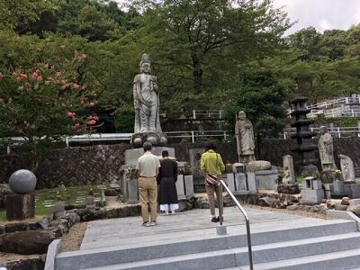 墓じまいから樹木葬へ