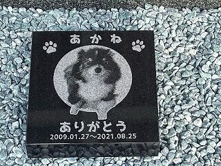 ペットのお墓
