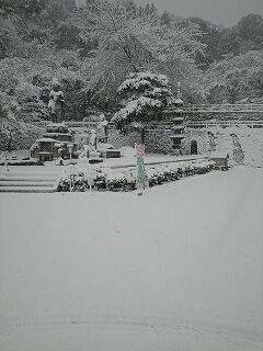 積雪