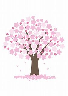 桜の元で納骨しました