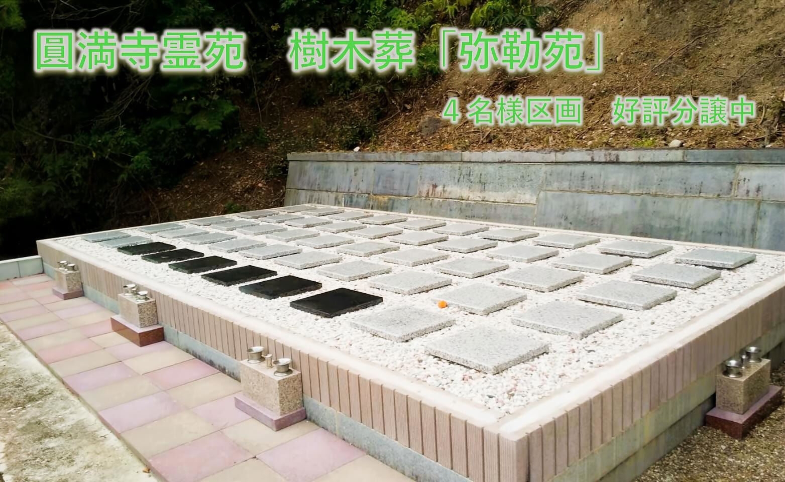 岐阜県海津市の圓満寺霊苑で新たに樹木葬「弥勒苑」永代供養区画