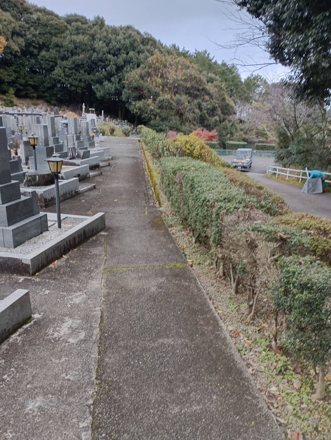 早いもので、もう年末の時期がやってきましたね