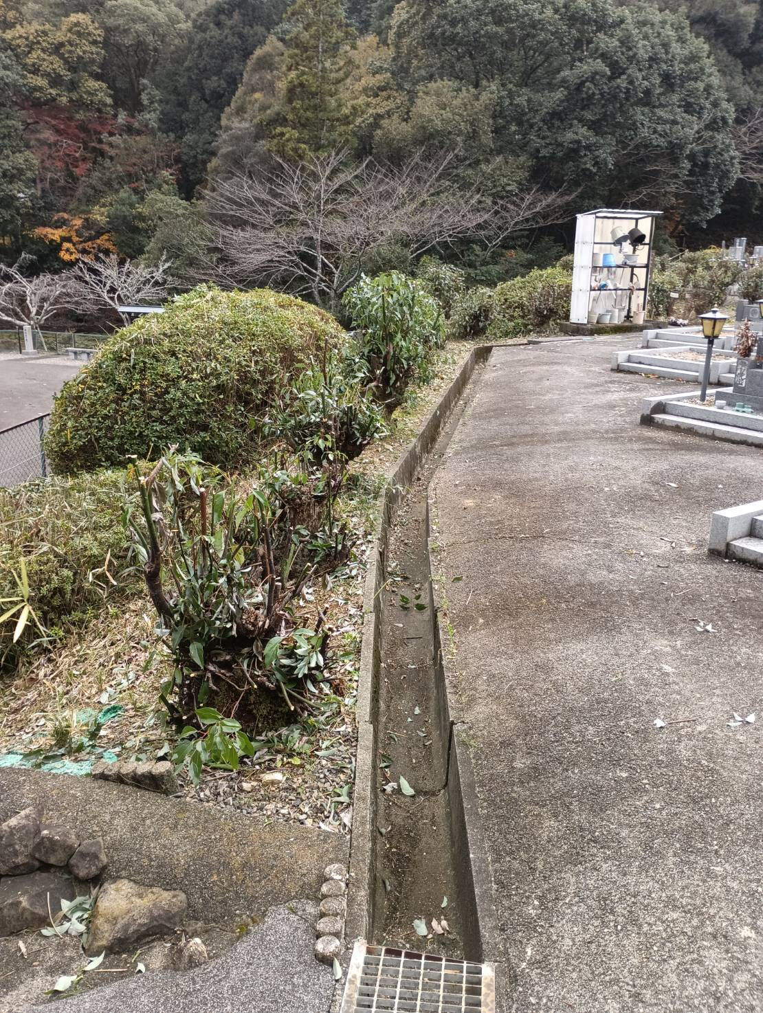 早いもので、もう年末の時期がやってきましたね