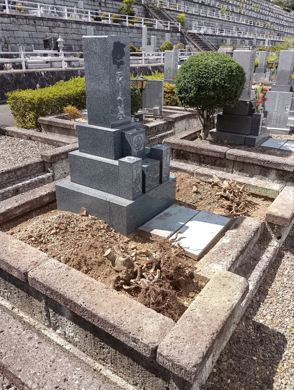 岐阜県海津市の圓満寺霊苑の墓所にて植木の撤去作業をおこないま