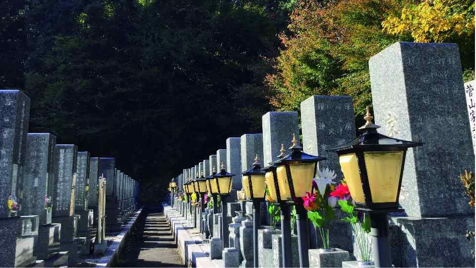 shinseiji3