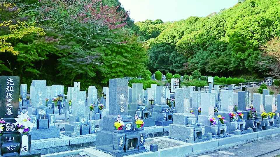 shinseiji4