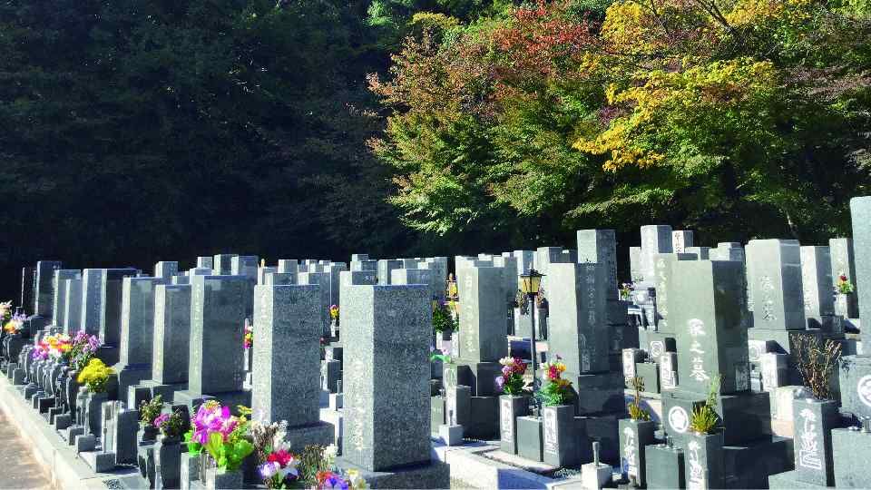 shinseiji5