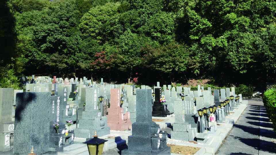 shinseiji6
