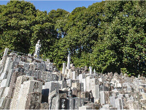 建替後の墓石について
